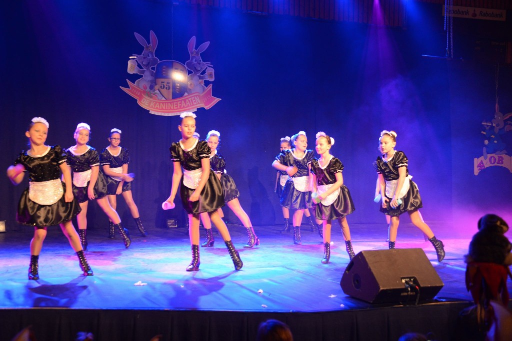 ../Images/Dansmarieke festival 2015 309.jpg